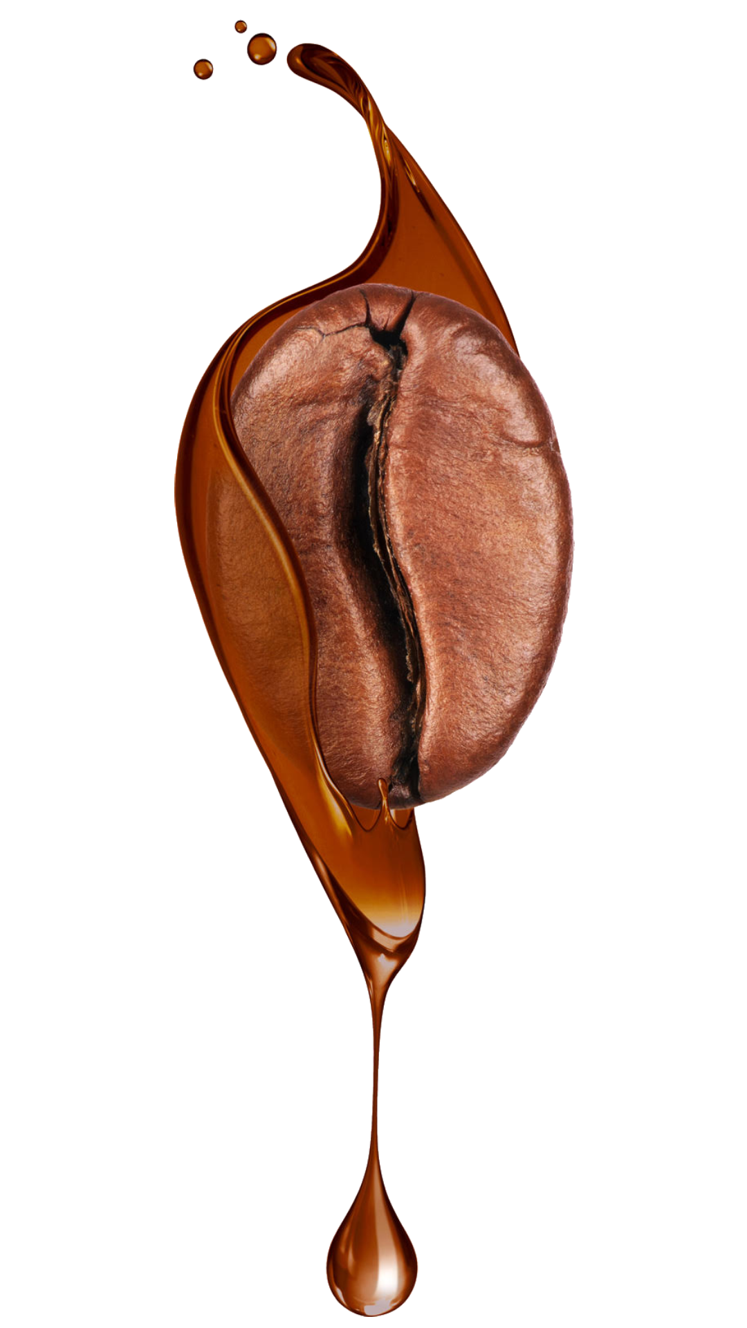 Coffee bean